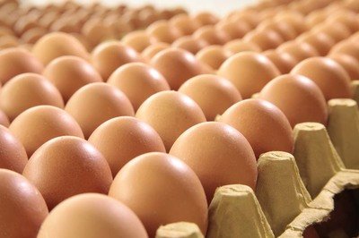 永州鸡蛋检测价格,鸡蛋检测机构,鸡蛋检测项目,鸡蛋常规检测